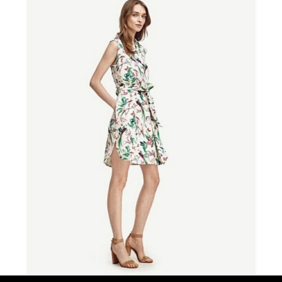 Ann Taylor Dresses & Skirts - Ann Taylor birds of paradise shirt dress